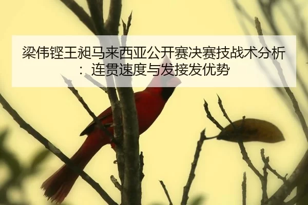 梁伟铿王昶马来西亚公开赛决赛技战术分析：连贯速度与发接发优势